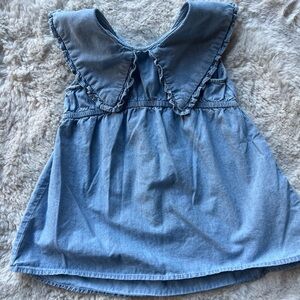 Zara Denim Collar Dress
